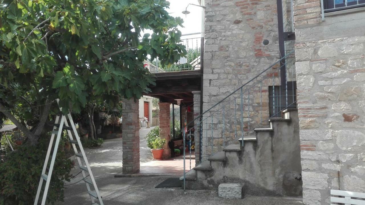 トーディ Agriturismo Cerquagliaヴィラ エクステリア 写真